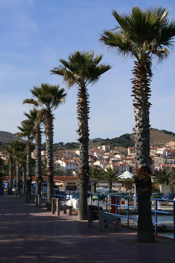 Villa Camille Banyuls-sur-Mer Exterior foto